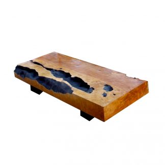 petrified-wood-bench