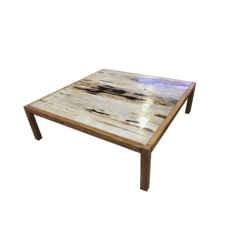 petrified-wood-coffee-table