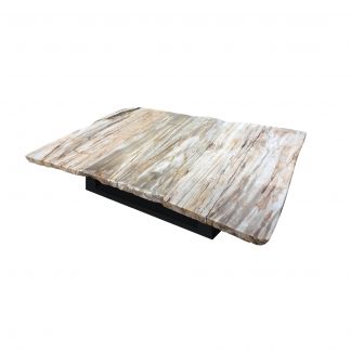 petrified-wood-coffee-table-table