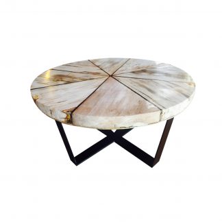 Petrified Wood Coffee Tables