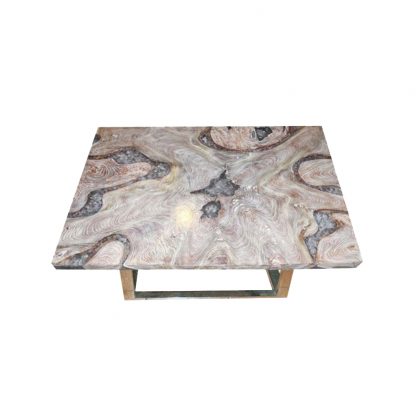 petrified-wood-coffee-table-table