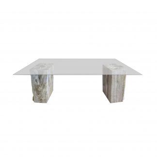 petrified-wood-glass-top-table