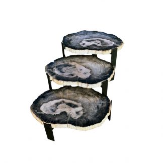Petrified Wood Side Tables