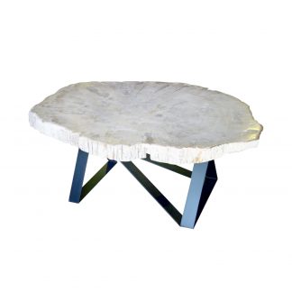 petrified-wood-side-table-table